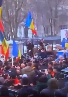 cristela-la-parchet (8)