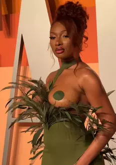 Megan Thee Stallion 2