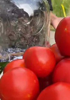 bunica gherghina pregateste rosii murate2