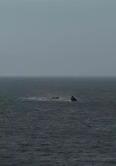 accident-naval-grav-in-portul-midia-un-remorcher-s-a-scufundat-un-marinar-a-fost-scos-din-apa-in-stop-cardiac-alti-4-sunt-disparuti-1054300