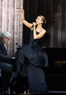 Celine Dion Performs At Paris La Defense Arena