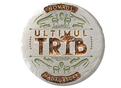 Ce ar lua cu ele pe o insulă pustie vedetele din „Ultimul Trib”