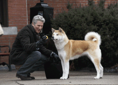 Recomandarea TVmania: „Hachiko: Povestea unui câine”, cu Richard Gere