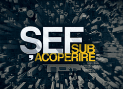 Protagonista următorului episod „Șef sub acoperire” (Pro TV), șefa uneia dintre cele mai mari companii de la noi