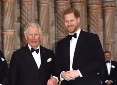 Prințul Harry a refuzat ramura de măslin întinsă de Regele Charles. Cum l-a pedepsit suveranul