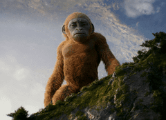 Film Now aduce în 2026 patru filme despre curaj și iubire. „Godzilla x Kong: Un nou imperiu” și „Air”, printre titluri