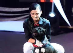 Continuă spectacolul animalelor la „Ham Talent”!