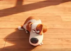 Animația „The Secret Life of Pets” / „Singuri acasă” are trailer nou
