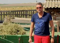 Cătălin Botezatu: „La Ceamurlia de Jos porcii se strigă gucci, gucci”