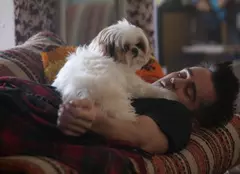 „Şapte psihopaţi şi un câine”/ „Seven Psychopaths” (2012)