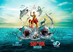 „Shark Week” / “Săptămâna rechinilor”, la Discovery, Animal Planet și Prima TV