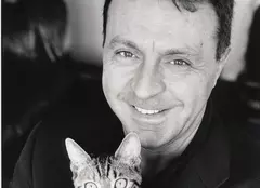 Noaptea Devoratorilor de Publicitate ... în cifre! 