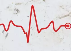 În premieră la HBO: „Rețeaua”