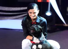 Continuă spectacolul animalelor la „Ham Talent”!