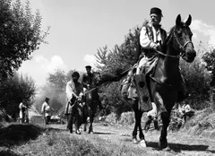 „Aferim!” e cel mai de succes film românesc al anului