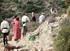 Prima petrecere românească la “Ferma vedetelor” din Cipru