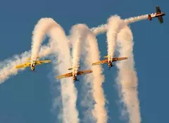 TVR prezintă, în exclusivitate, povestea „Iacărilor Acrobaţi ai României” | FOTO