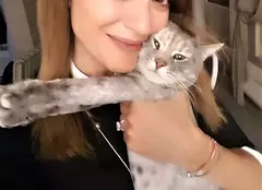 Anca Țurcașiu, dezvăluire surprinzătoare la „Stăpânii vedetelor”: „Soțul meu a făcut o criză când am adus pisica acasă”