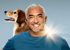 Care sunt premierele lunii august 2022 la National Geographic și National Geographic Wild