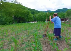 Asta-i România!, 25 iunie 2023. Un vis îndepărtat pentru un cătun izolat din țara noastră