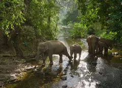 Premierele lunii august 2023 la National Geographic și National Geographic Wild