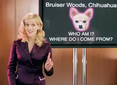 Blonda de la Drept 2