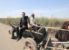 Moise Guran știe să conducă o căruță, dar și cum trebuie să conduci o economie