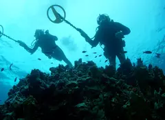 Discovery Channel a lansat noua grilă de programe. Lista noilor documentare