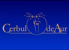 TVR anunță o nouă ediție a Festivalului Cerbul de Aur