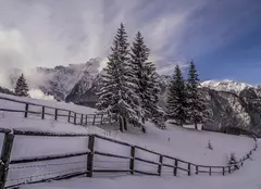 GALERIE FOTO. Ultimul episod al seriei „Wild Carpathia” va fi difuzat astăzi, în premieră, de TVR 1