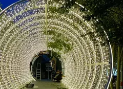 Decor de vis la cununia civilă a Simonei Halep cu Toni Iuruc