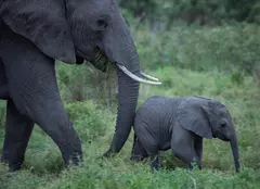 National Geographic, program special de Ziua Pământului. Când este difuzat documentarul produs de James Cameron
