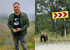 Rareș Năstase, față în față cu ursul într-o nouă anchetă „România, te iubesc!”. Emisiunea revine la Pro TV cu un nou sezon