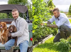 David Beckham, în rolul de fermier modern. Fanii nu au fost încântați de noua imagine: „Total ridicol”