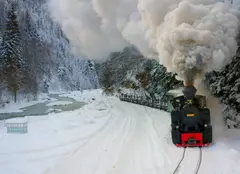 Descoperă România: mistere, legende și istorii la National Geographic. Ce emisiuni putem vedea în perioada 1 - 5 decembrie