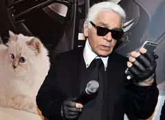 Pisica lui Karl Lagerfeld nu a primit moștenirea promisă. Ce se întâmplă cu averea lui Choupette