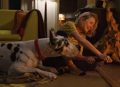 Doamna și dog german-ul: Naomi Watts și Bill Murray, protagoniștii unei drame emoționante pe SkyShowtime