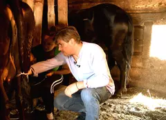 Mircea Radu a muls vaca în Maramureş