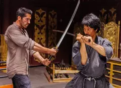Ninja: Răzbunarea