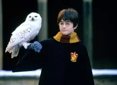 Digi Film difuzează din 4 decembrie întreaga serie „Harry Potter”