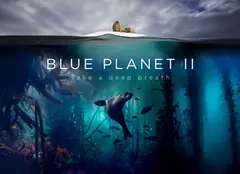 Discovery și BBC își fac platformă de streaming. Cei doi giganți au semnat un acord de 300 de milioane de £