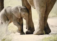 Noutățile lunii ianuarie 2024 la National Geographic și National Geographic Wild