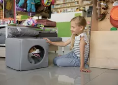 Ce să faci în primele 48 de ore după ce aduci câinele acasă