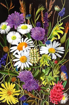 Mihai-Muresan-Wild-Flowers-2022