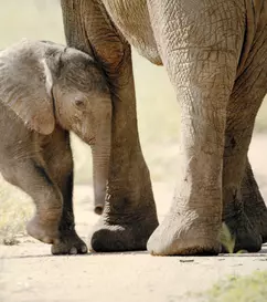 Noutățile lunii ianuarie 2024 la National Geographic și National Geographic Wild