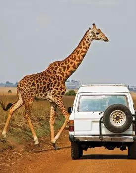 Africa