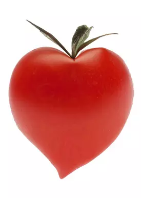 Dieta pentru protectie solara