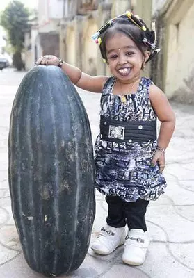 61378743