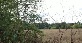 Ce a văzut un fermier pe terenul său în urma unei plimbări cu mașina. "Nu mi-a venit să cred!"