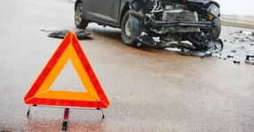 Din iubire pentru animale, acest șofer și-a făcut mașina praf